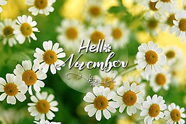 Bản tin đầu tư tài chính và thuế kỳ 15 tháng 10 năm 2023